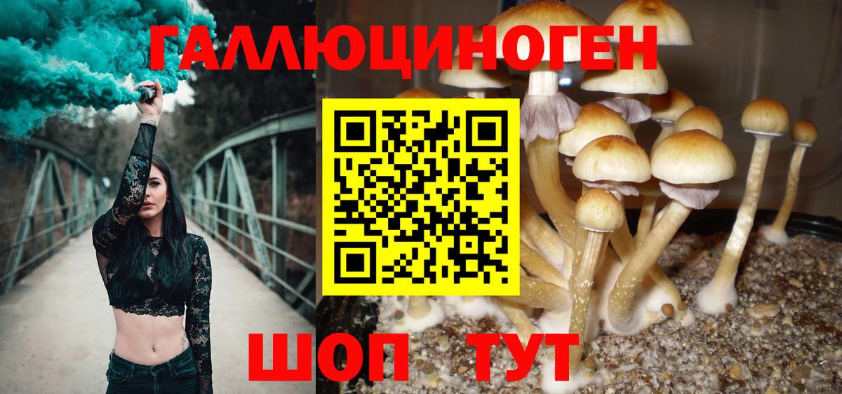 Псилоцибиновые грибы MAGIC MUSHROOMS  Вход с VPN  Галлюциногенные грибы Psilocybe  Полысаево 